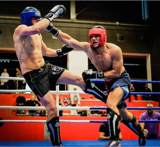 DBX Bushido Боксови Ръкавици за Състезание Бели