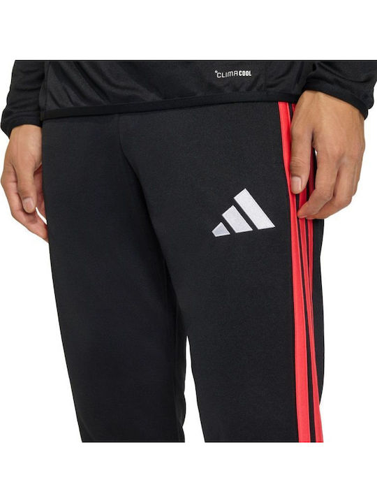 Training Sweatpants Glossy Black And Red