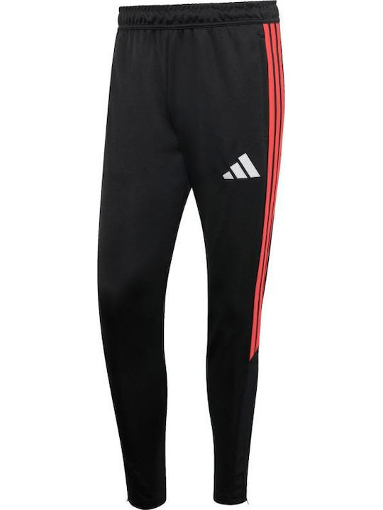Training Sweatpants Glossy Black And Red
