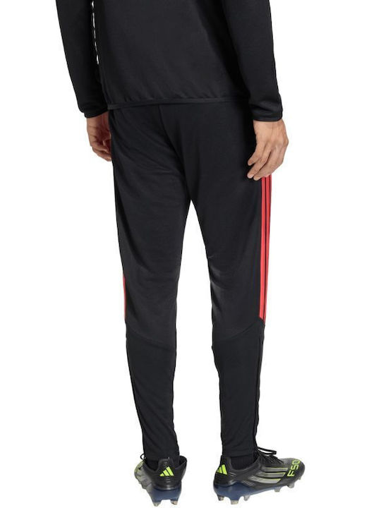 Training Sweatpants Glossy Black And Red