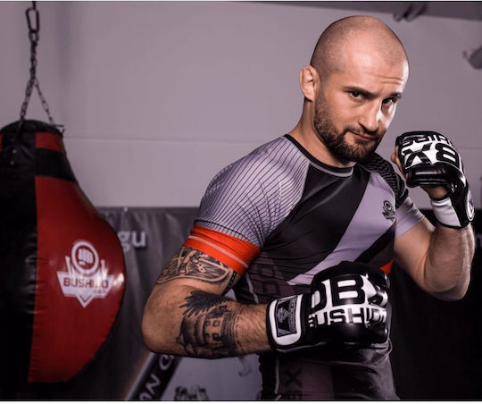 MMA Ръкавици Harmony Valor Series
