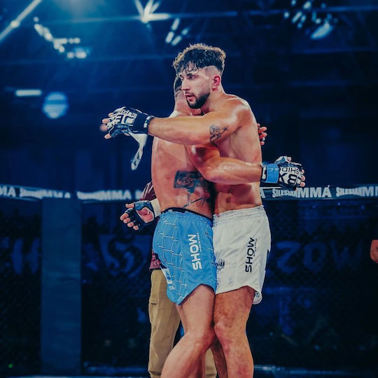 MMA Ръкавици Harmony Valor Series