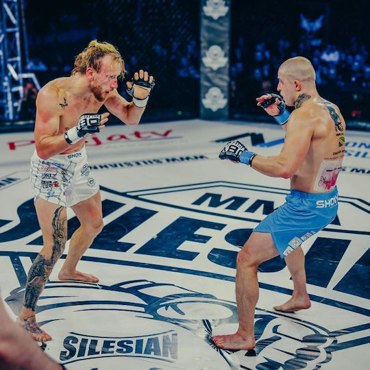 MMA Ръкавици Harmony Valor Series