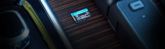 Kingston Canvas Go Plus microSDXC 256GB U3 V30 A2 UHS-I 200MB/s с адаптер