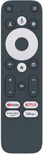 ZTE TV Box ZXV10 B866V2K 4K UHD with WiFi USB 2.0 and 32GB Storage Space with Operating System Android 11.0