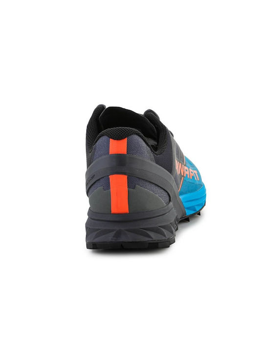 Alpine Sport Shoes Trail Running Multicolour