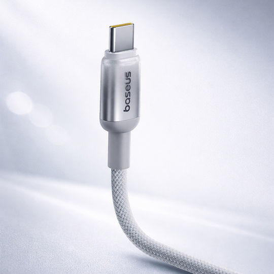 Baseus USB 2.0 Kabel USB-C männlich - USB-C 100W Silber 2m