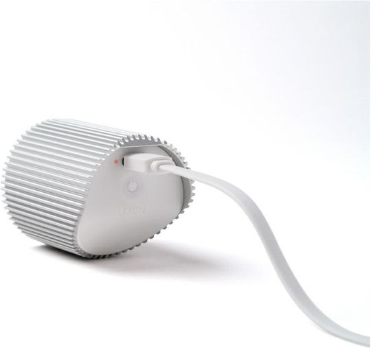 Lexon Decorative Lamp