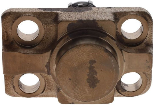 Cylinder Head F 01m 100 869