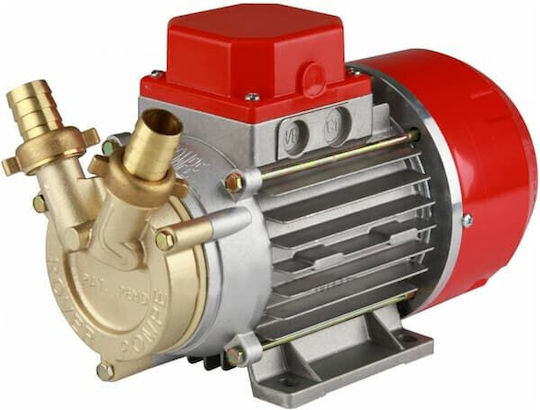 Rover Pompe Marina 25 Transfer Pump with 1" Inlet and 0.6hp Horsepower 12V