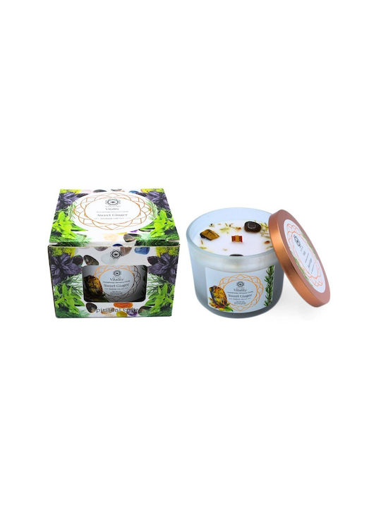 Green Tree Candle Company Aromatic Soy Candle in Green Jar 256g
