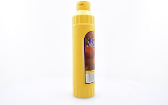 BETO Μουστάρδα 500gr