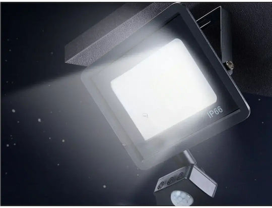 Verk Group Proiector LED Etanș 30W Alb Rece 6000K cu Senzor de Mișcare și Fotocelul IP66