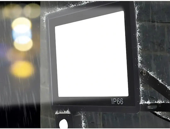 Verk Group Proiector LED Etanș 30W Alb Rece 6000K cu Senzor de Mișcare și Fotocelul IP66