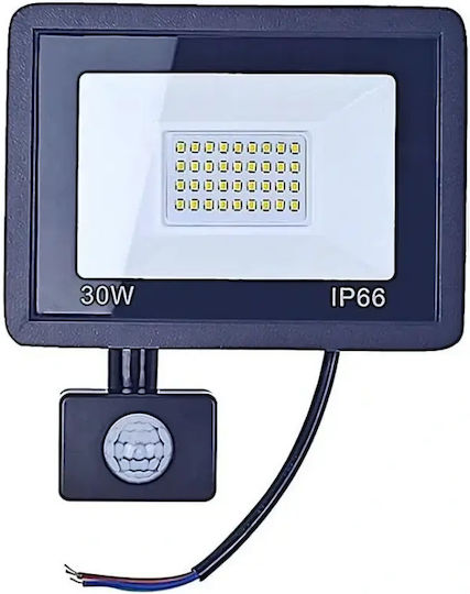 Verk Group Proiector LED Etanș 30W Alb Rece 6000K cu Senzor de Mișcare și Fotocelul IP66