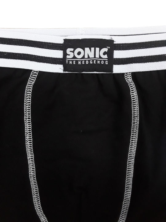 Nickelodeon Sonic