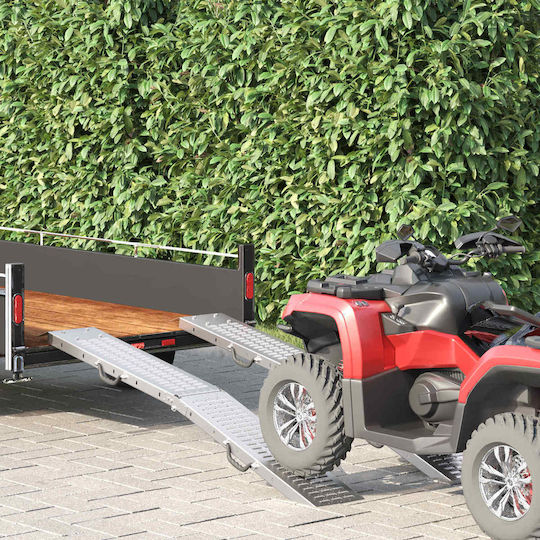 Vidaxl Loading Ramp 2 Pieces Silver 166 x 22.5 x 4.5 cm