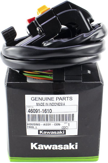 Kawasaki Motorcycle Switch
