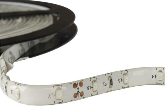 Waterproof LED Strip Ywxlight 300 12V Red Light 5m Type SMD3528