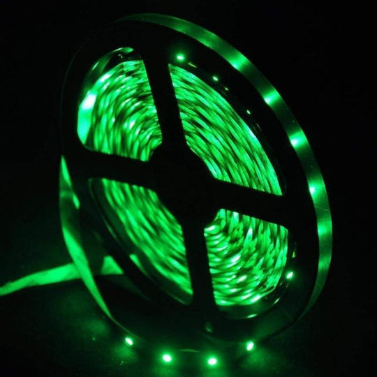 Waterproof LED Strip Ywxlight 300 12V Red Light 5m Type SMD3528