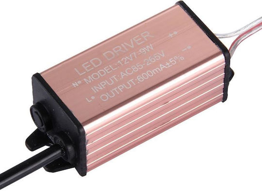 Dekorative Lampe Mehrfarbig 10Stück