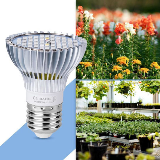 Lamp LED-Lampe 30W für Fassung E27 Rot