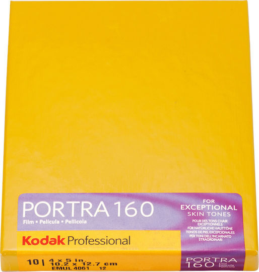 Kodak Portra 160 (4x5 Exposures)