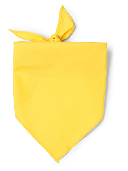 Fular de damă Bej