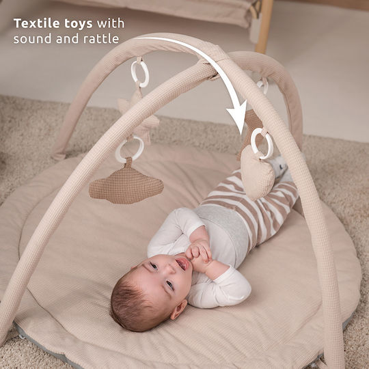 Lorelli Activity Gym for Newborns