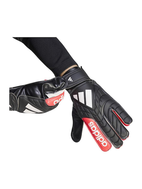adidas Copa Adults Goalkeeper Gloves Black