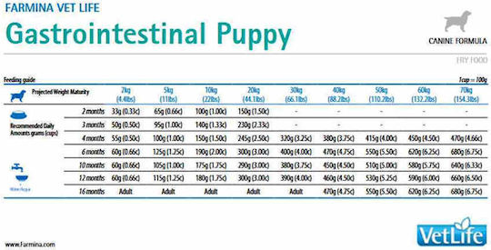 Farmina Vet Life Gastrointestinal Puppy 2kg Dry Food Diet for Puppies with Chicken, Rice, Fish and Herring