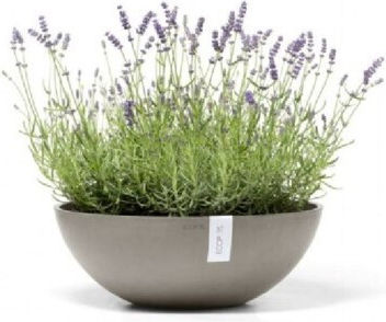 Ecopots Vienna 40