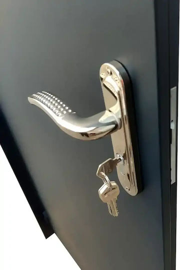 Poartă Metalică Cu O Singură Foaie Technical 1t L860 Deschidere Stânga 86cm X 205cm Poartă Metalică Cu O Singură Foaie Technical 1t L860 Deschidere Stânga 86cm X 205cm