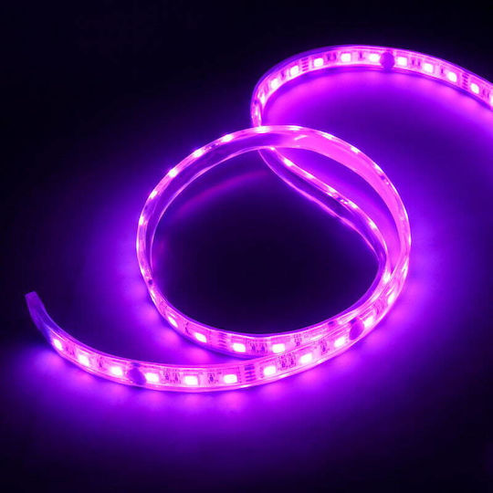 Lamptron Bandă LED RGB Lumină 5m cu Telecomandă