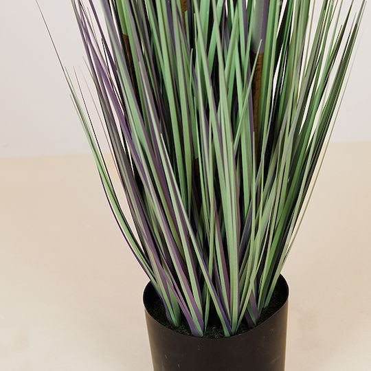 Plantă Iarbă Floare Roz Ghiveci Plastic 122 cm
