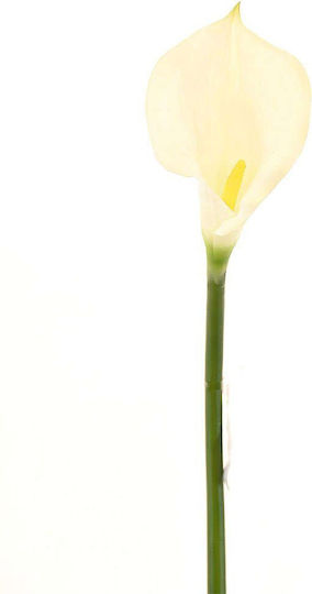 Supergreens Künstliches Kladí Kalla Weiß 96 cm 7-0302
