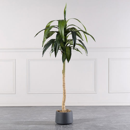 Supergreens Copac Artificial Dracaena Verde 170 Cm 6-0317