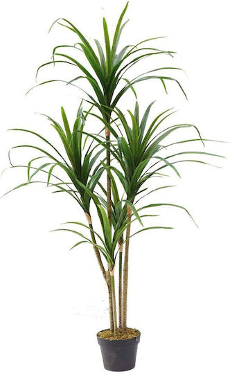 Supergreens Изкуствено Дърво Dracaena Anita Зелено 150 См 6-0829