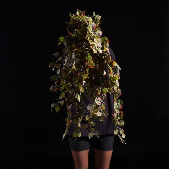 Supergreens Изкуствен Висящ Ficus Afzelii Двуцветен Зелен 90 См 7-1574
