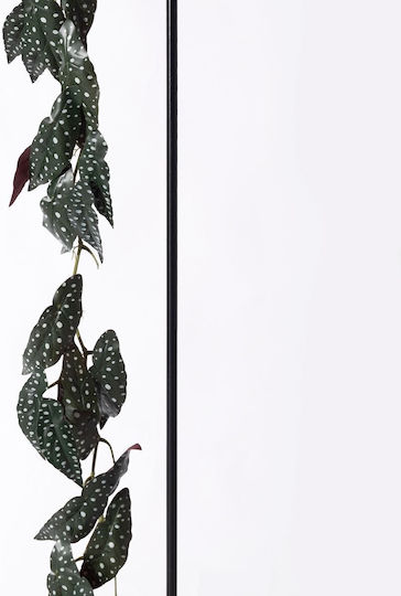 Supergreens Artificial Begonia Maculata Green Garland 170 Cm 7-1625 Supergreens Artificial Begonia Maculata Green Garland 170 Cm 7-1625
