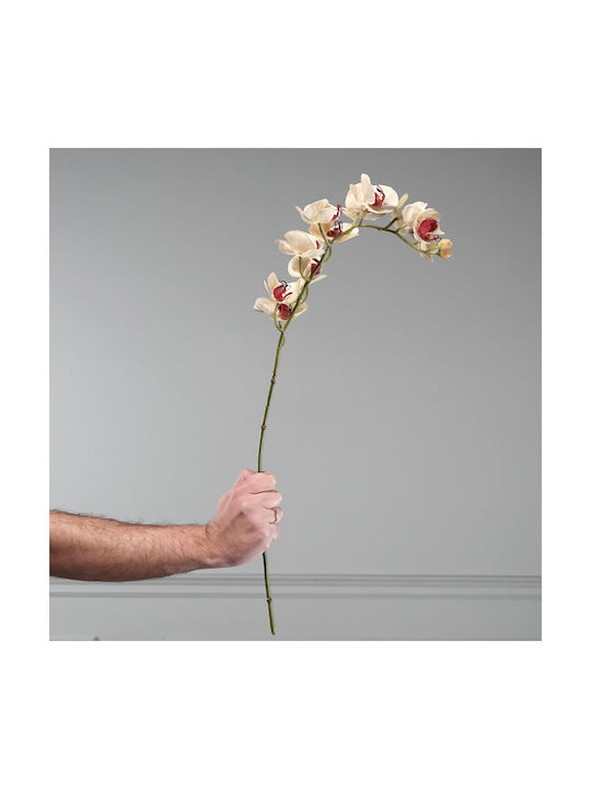 Supergreens Dekorative Künstliche Blumen & Pflanzen Orchidee Beiges Zweigstelle 75 cm 7-0839