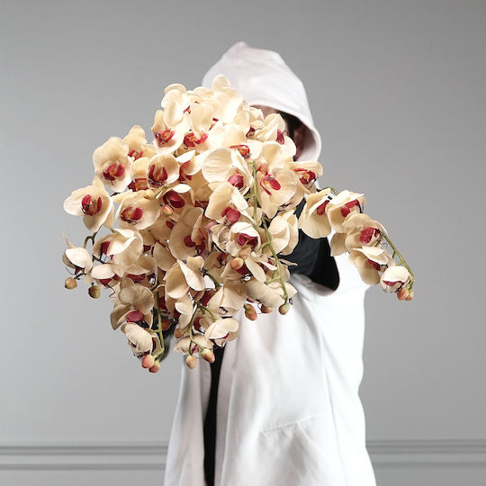 Supergreens Dekorative Künstliche Blumen & Pflanzen Orchidee Beiges Zweigstelle 75 cm 7-0839