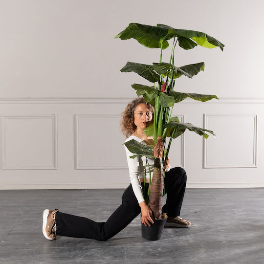 Arbore Artificial de Exterior Alocasia Green 170cm Supergreens