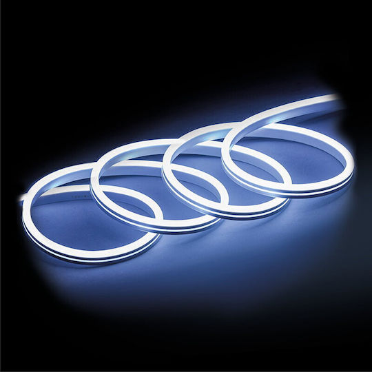 Ibiza Sound Bandă LED Impermeabilă 12V Lumină Albă Rece 5m Neon Flex cu Sursă de Alimentare