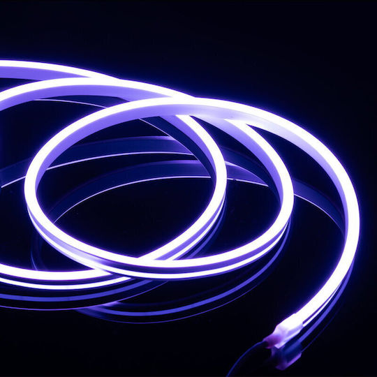 Ibiza Sound Banda LED Impermeabilă 12V RGB Lumină 5m Neon Flex cu Sursă de Alimentare și Telecomandă