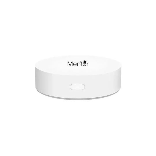 Electronică Valvă termostatică pentru radiatoare cu Wi-Fi pentru un site de comerț electronic pentru încălzirea corpului 6buc