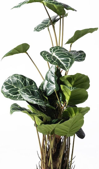 Supergreens Dekorative Künstliche Pflanze Schwanzblume Clarinervium Grünes 90 cm 6-1279 Supergreens Dekorative Künstliche Pflanze Schwanzblume Clarinervium Grünes 90 cm 6-1279