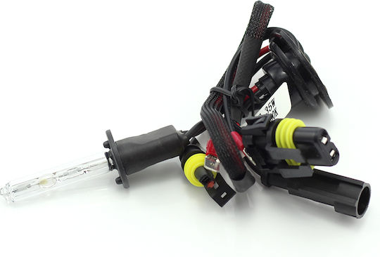Xenon Bulb H1-5k +20% Extra Power Carguard