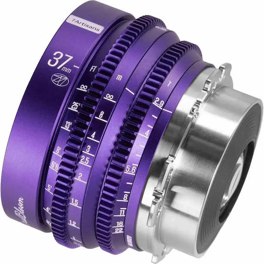 7artisans Voller Rahmen Kameraobjektiv Floral Bloom 37mm T2.9 PL Festbrennweite für Arri PL Mount Purple