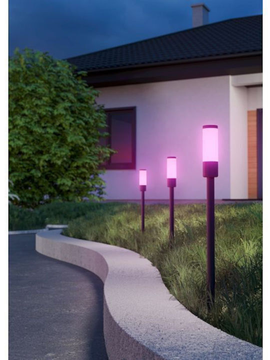 Eglo Led Light Fixture 902043